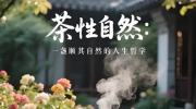 ʲôʱ���ܽ�飿�Ͷ����ܷ��ߵ����